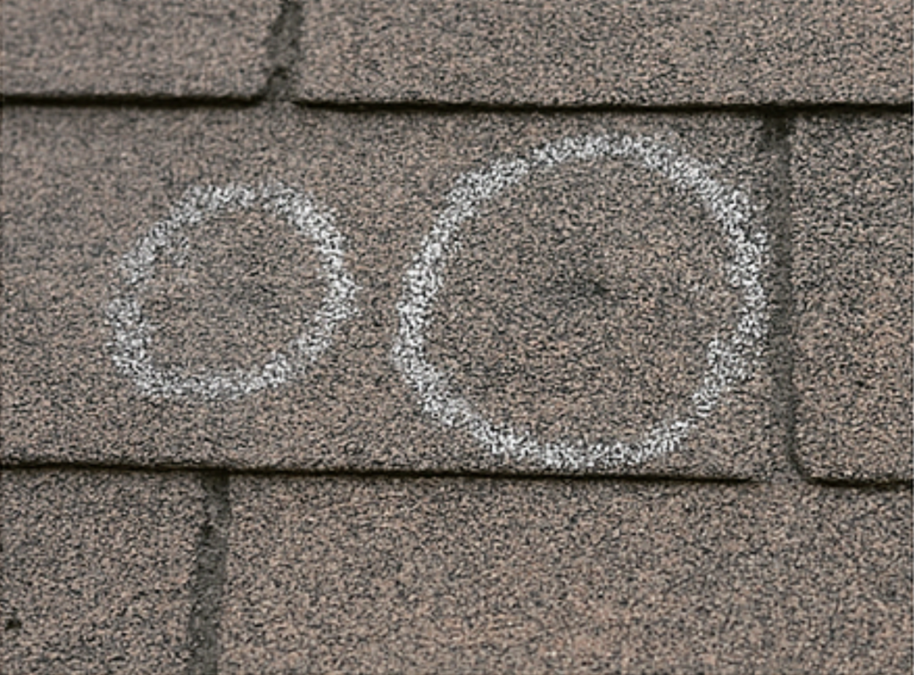 Asphalt Shingle Roof Hail Damage