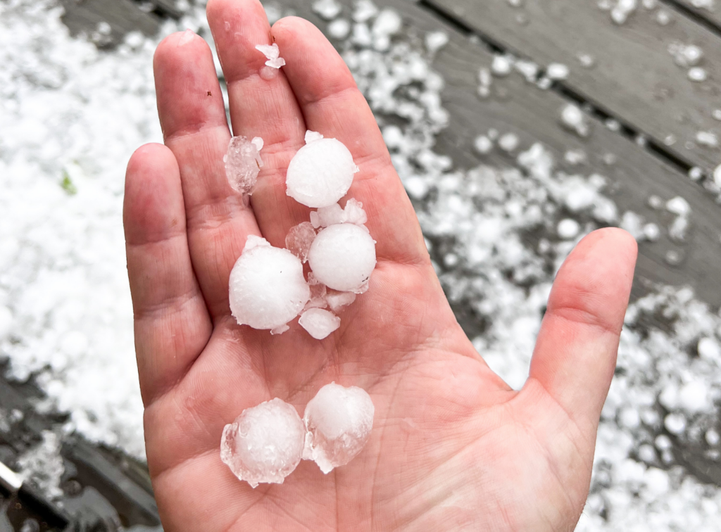 Five quarter size ice circles