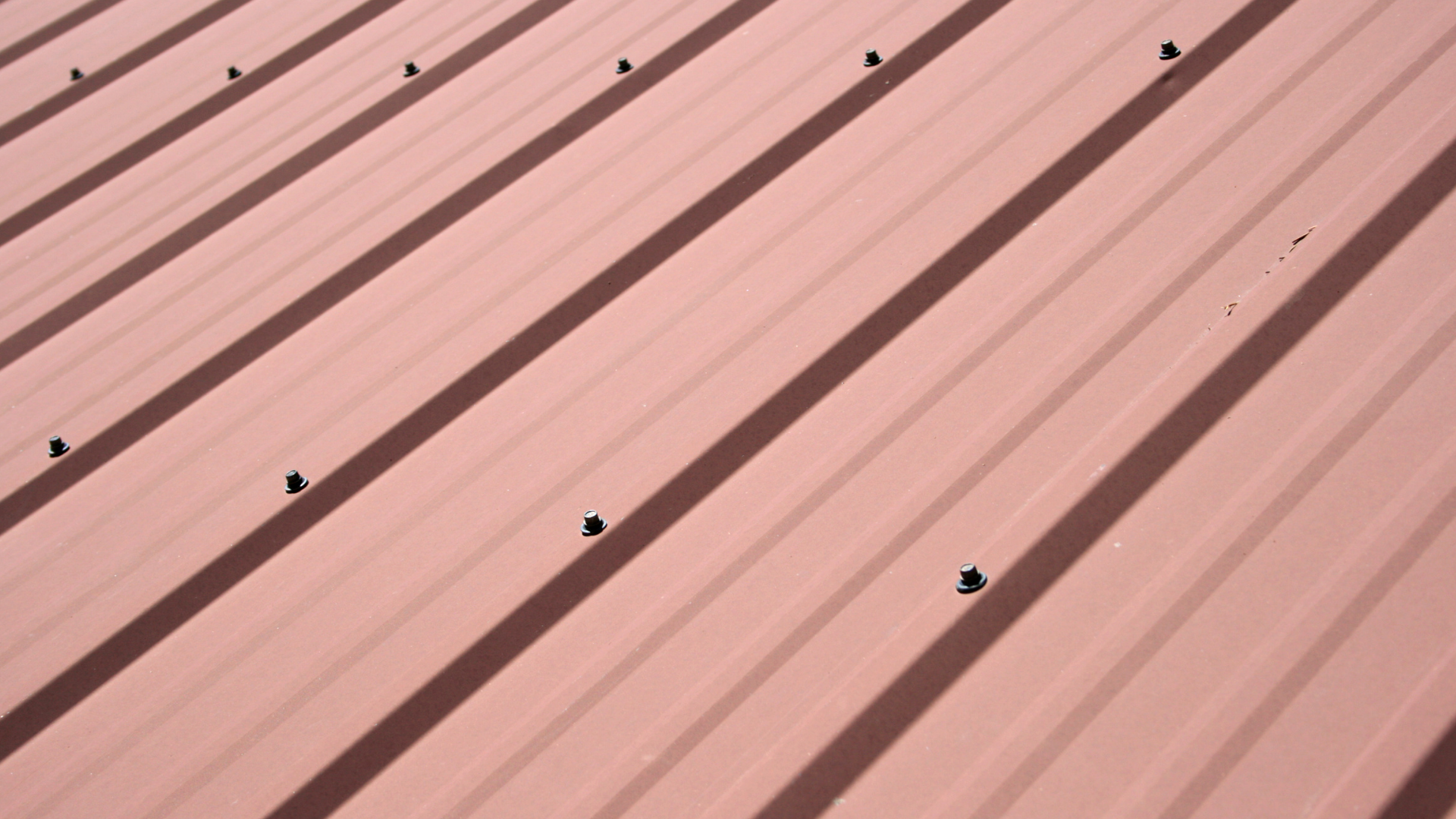 Metal roof with screws